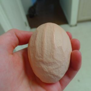 A wrinkly egg ~ courtesy of Dixie.