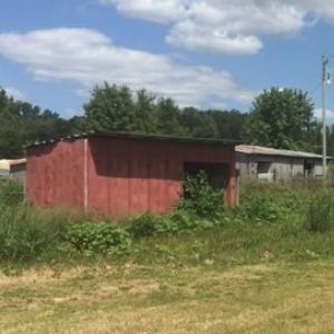 This is the coop prior to construction. My dad had built it 22 years prior and had used it for storage, horses and last a dog pen. Basic 8'x16" building, with a dirt floor. The metal on the roof going sideways, not sure why. The chain link fencing was falling down and removed. Was full of weeds when I bought the place.