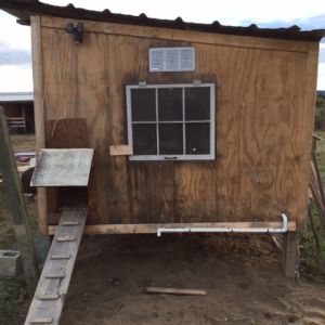 Chicken door and ramp. PVC waterer with poultry nipples for outside in the future run. Windows prop open, covered with hardware cloth. Some sand is put down already that I got for free off of Craigslist. Battery operated motion sensored light to help scare of potential predators.
