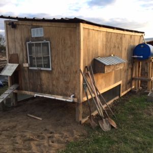 Back of coop showing nesting boxes. Right now my hen prefers to lay eggs around the farm. 55 gallon drum hooked to PVC to supply water. Will be hooked up for rain water collection after roof is replaced and put on the correct way.