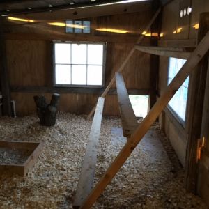Roosting bars, 24' worth. Connected to coop wall with hinges. Roosting bars raise and hook to ceiling for clean out purposes.
