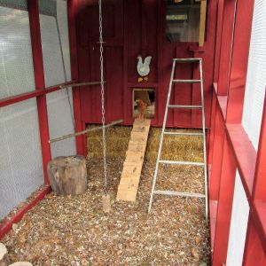 start of deep litter method, with straw bales blocking under the coop for winter