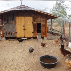 Front view of coop before it was stained.