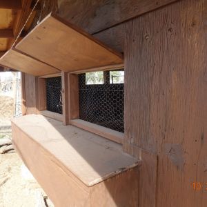 Nest boxes on the left side of the coop.