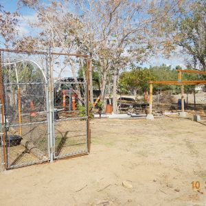 A separate gate on the right side of the chicken run gate is for a future run for another livestock, possibly for goats.