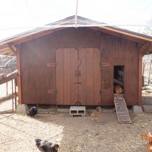 Front view of the coop, 12' wide, 10' deep.