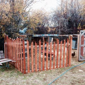The Dixi Chix compound - created by 3 individual sized spools wrapped with chicken wire. I'm working on the 'picket fence' which is handmade to look like little bird houses.