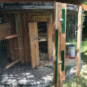 The chicks can run around the outside and go in and out of the windows and doors.