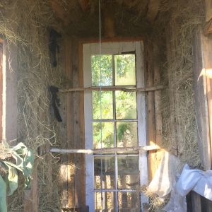 Insulated with Salt Marsh Hay for the winter.