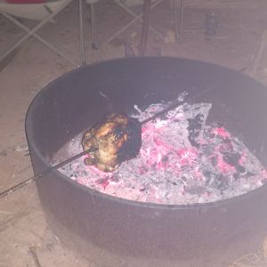 Don't worry guys it's store bought.  I still love my birds