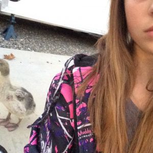 My follower