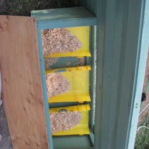 Photo is going the wrong way, bu these are the new nesting boxes and they are filled with wood chips and straw.