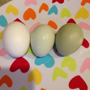 White is a borrowed egg from Mama but the other two are mine!