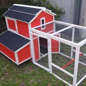 This was our starter coop! It was great for just that, but they outgrew it pretty quick.