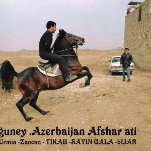 Afshar horse 
Azerbaijan Horse