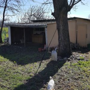 My future chicken coop :)