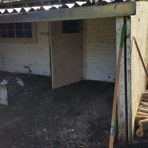 My future coop