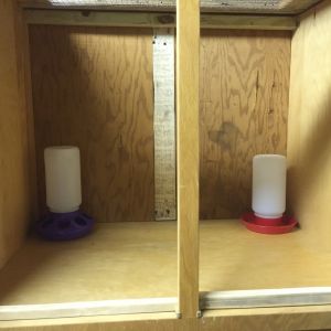 Along the front of the brooder we ended up putting in a board to keep the bedding from spilling out every time we opened the doors.  Only problem with this is that the chicks all wanted to roost on this board as they got older.
