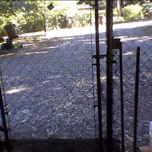 gate