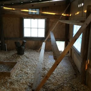 Roosts in this pic now have the added 1x4x8 screwed on top, making the roosting space wider.

Ole' tree stump was a big piece of firewood I had lying nearby. They didn't like it so it's gone now.