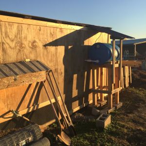 Lots of work to still be done. I believe my wife hates me now. I'm always it seem working on this chicken coop....when will it end.