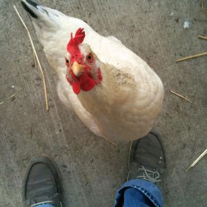 That thing in your hand. Yes, give it to me now.