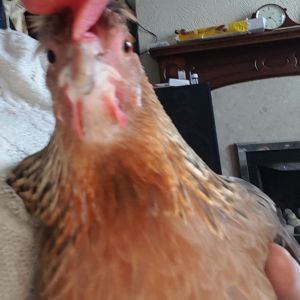 One of my girls