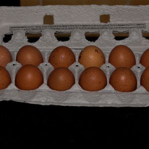 Welsummer eggs