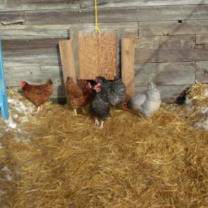 Morning time to see the sun