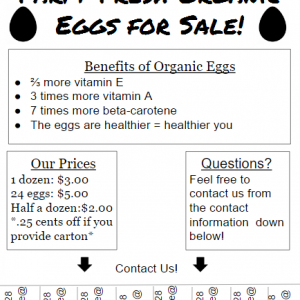 Here is a flyer template for selling your eggs