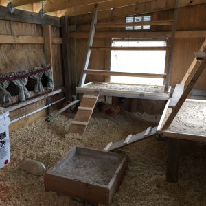 Added sand to the poop boards. Two packs of bedding for the coop. Made a wooden box a while back for dust bathing.