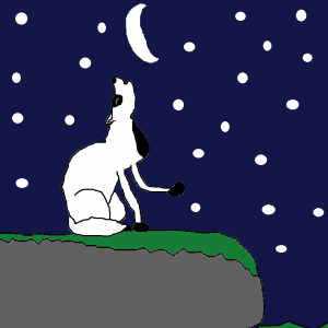 LunarLight Howling :)
(Note: I Was Lazy And Used Circle For The Stars, So Sorry About That)