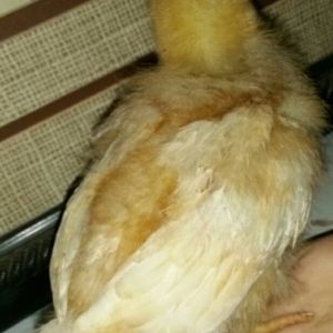 I'm 3 weeks old today!