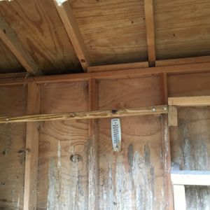 Based on what I've read on BYC so far, it seems that this coop has inadequate ventilation.  There is only 1 vent above the window at one end of the coop.  NONE of the windows open.  They are nailed in and caulked.  See where the roof meets the side wall?  There's a gap there that goes under the eaves and is closed off.  I'm thinking that maybe we can redo the eaves to include an opening the entire length of the coop in front and back to allow for roof line ventilation. We also need to see how we can modify the windows to allow them to open outward from the bottom.  I'm clueless here.