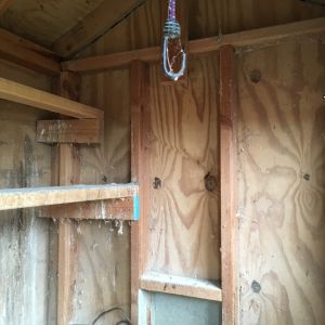 A view of the end with the pop door.  For the roosts, I'm considering adding a poop board that will extend from back wall to above the pop door. The two roosts will be located at the level of the lower roost.