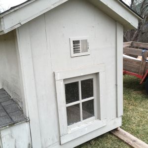 Only one vent.  Planning to redo the board under the eaves to allow ventilation on both sides of the coop.  Maybe we can add more vents on the end walls.  As of right now, there will be 12-13 chickens housed in here.