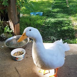 20170529_164322