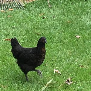 IMG_1660