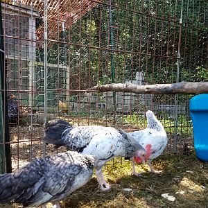 20170822_124709