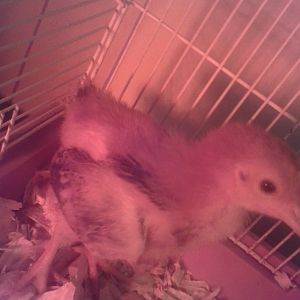 20170910_083854