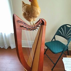Mary and the Harp.