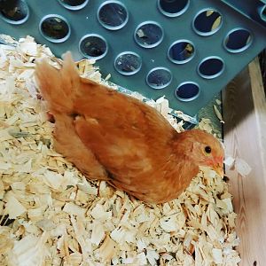 IMG_20171005_100410_613