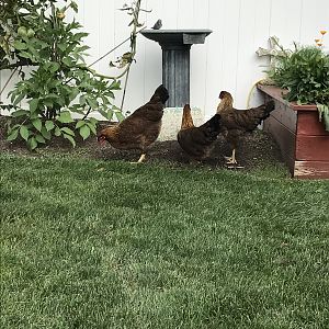 IMG_1815