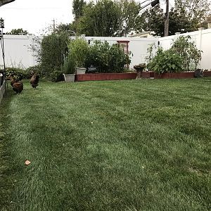 IMG_1817