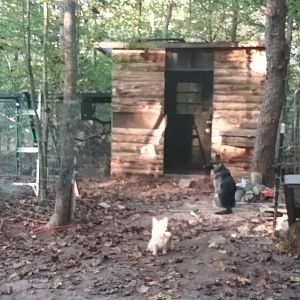 20170917_183651