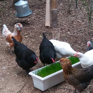 20171027_101758_Burst01