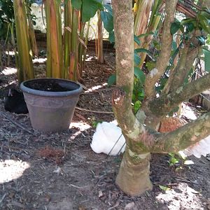 20171018_150349_Burst01