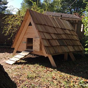 Duckhouse1