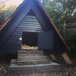 Duckhouse6