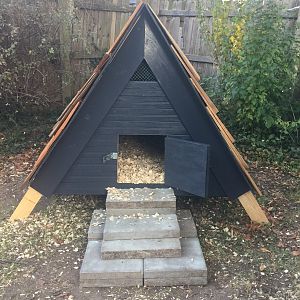 Duckhouse8